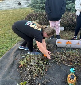 student picking pumpkin from garden