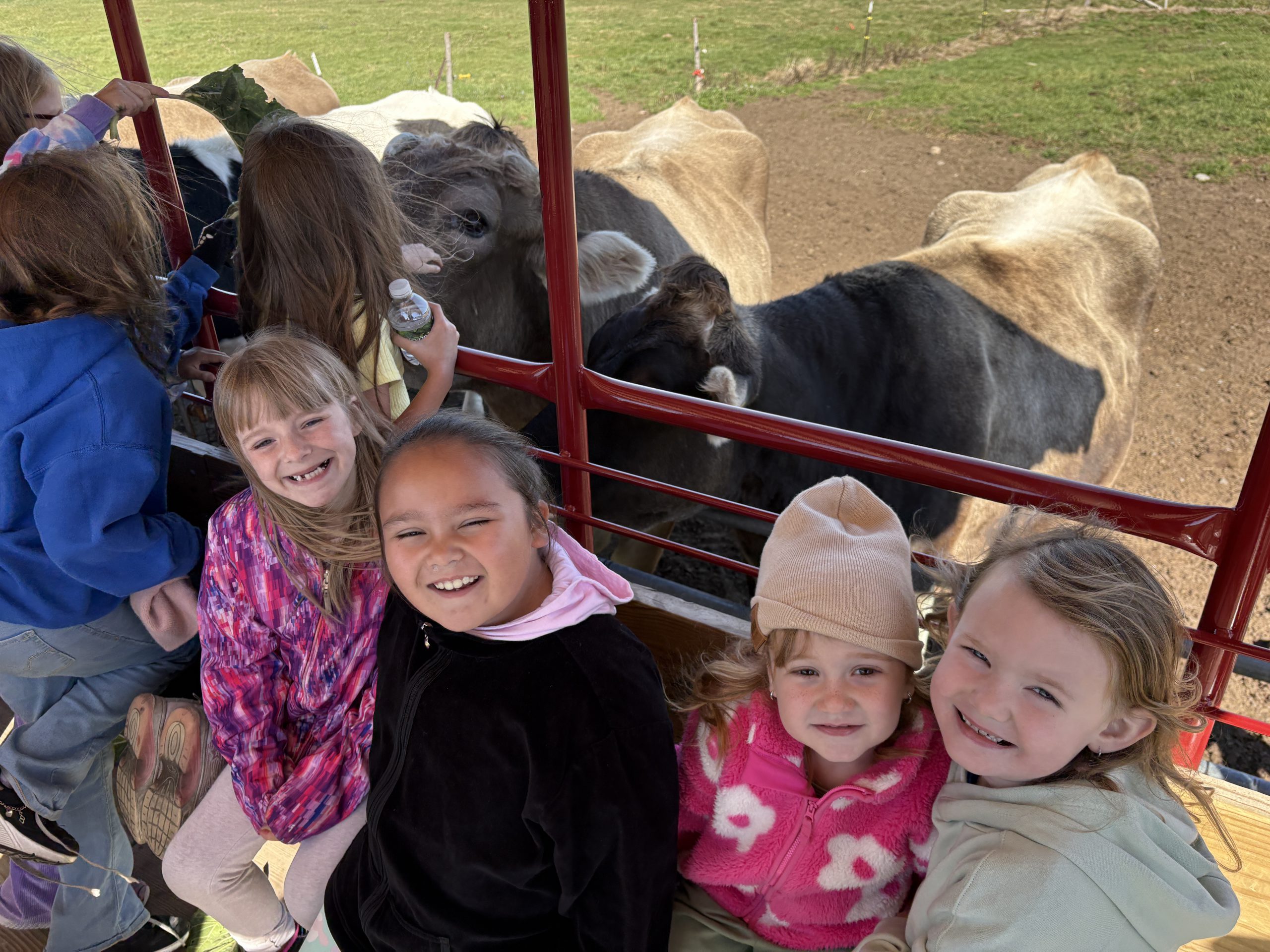 Group of students on a farm field trip